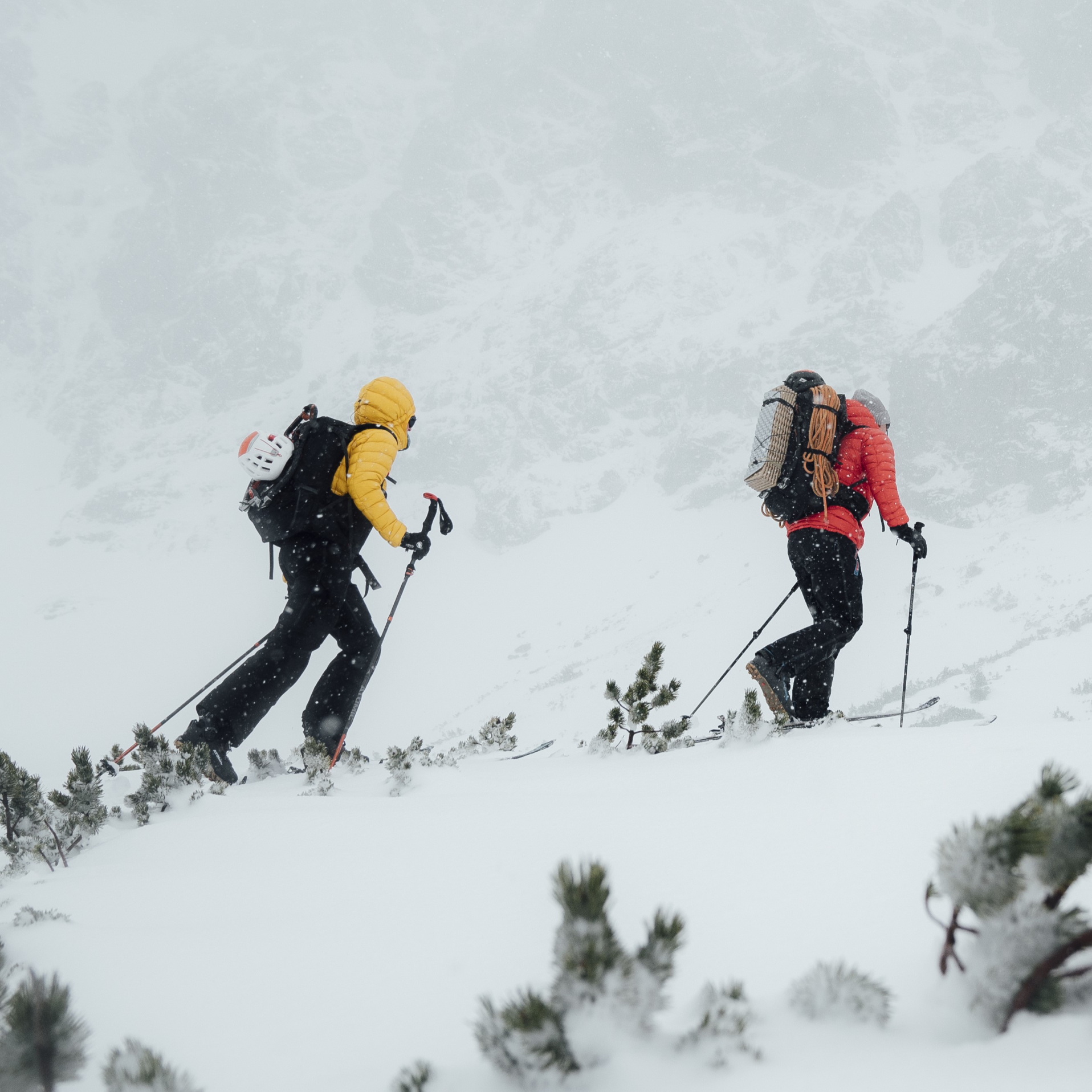 Men's hiking jacket - Phantom Men